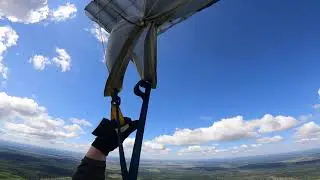Винг 30.07.23