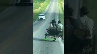 Славные американские детишки