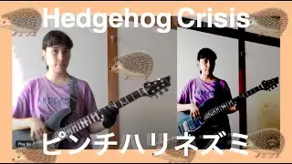 Kate's guitar jam-  - ケイトのギター Hedgehog Crisis ピンチハリネズミ