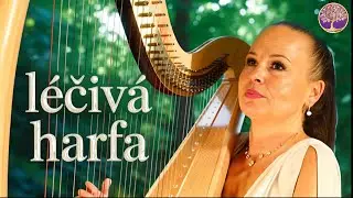 Léčivé a relaxační tóny harfy [Katarína Ševčíková, Flamenco] KONCERT 11. října, Plzeň