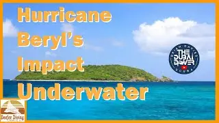 Unveiling the Impact of Hurricane Beryl on Reefs