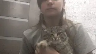 Заходь
