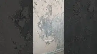 Реалити в ремонте, Часть 4! Для любителей плесневелого ремонта😂
