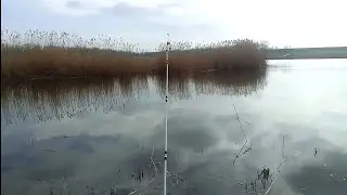 рыбалка на донку в большом заливе в поисках карасика.