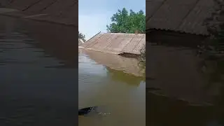 consequences of the explosion