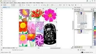 Fit images into a certain area with CorelDRAW