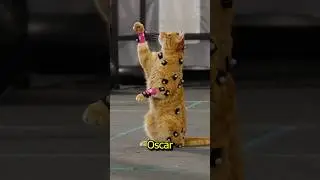 Did you know in Stray motion capture gets used on animals 