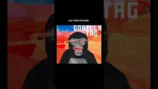 Why are there so many Monkey VR Games? 🤔