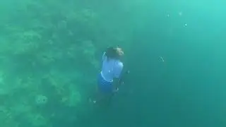 Aquaman from Wakatobi