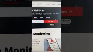 Discover what the dark web knows about you! 😱 
