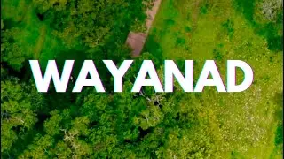 Discover The Hidden Gems Of Wayanad #wayanad #TravelIndia #IndiaTourism #BestTravelDestinations