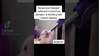 девушки бываю разные. Когда у девушки сносит крышу