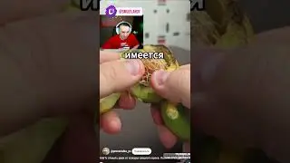 ЛУЧШИЙ ЛАЙВХАК 9🌰СТРИМЫ КАЖДЫЙ ДЕНЬ🥰 