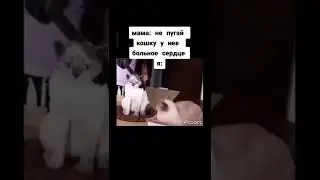 #мемы#brawlstars #фнаф