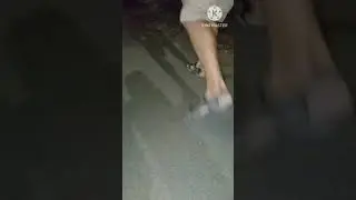 #тараканы #дезинсекция