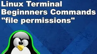 Linux Terminal for Beginners Commands 13: File Permissions