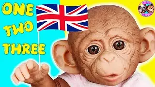 🇬🇧 MONO APRENDE INGLÉS en la ESCUELA 🐵 NÚMEROS Y COLORES en INGLÉS 🔢