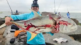 MONSTER Jack Crevalle Port Aransas Jetties