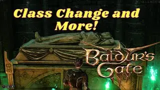BG3: Respec, Revive, and Replace! 