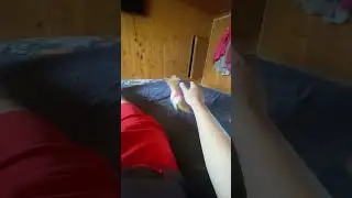 Много кто влюбился в нее но на самом деле это зверь 😂 вот вам и милота