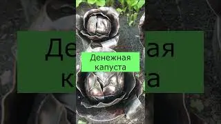 Денежная капуста. Памятник в Великом Новгороде #shorts