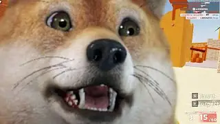 Every kill in ROBLOX Arsenal makes DOGE MEME BIGGER