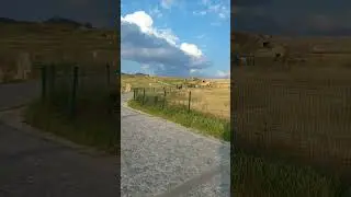 23 мая 2023 г.