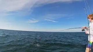 Quick Triple Tail Catch