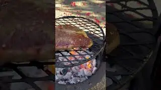 T-Bone Thursday
