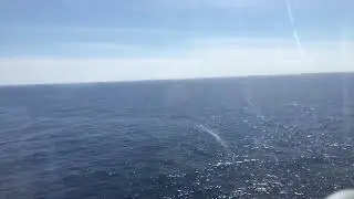 View from my cabin Symphony of the Seas 15 September 2018