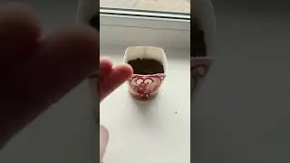 День 2 шишки все еще не взошли