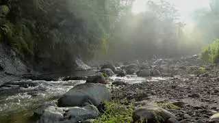 New morning Music for study, background and relaxation
