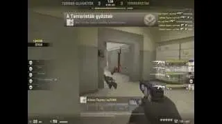 sq :XD