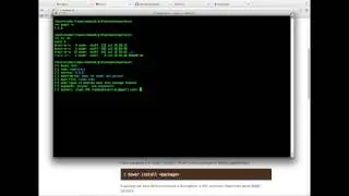 Tutorial 4 : Install Bower and Polymer