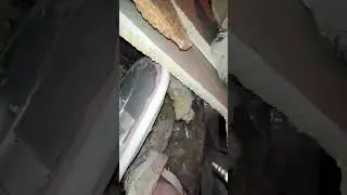 БОМЖ ВОВРЕМЯ ОБЗОРА ЕВРОПЕЙСКОГО МУСОРА НА МЕНЯ ЗААГРЕЛСЯ ЖИТЕЛЬ 