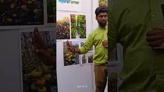 #gardening#garden #urbangardening#urbanfarming #hydroponics #hyderabad #farming #farmer #hydroponics