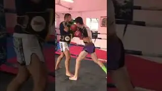 muay thai padwork #muaythai #padwork #strike