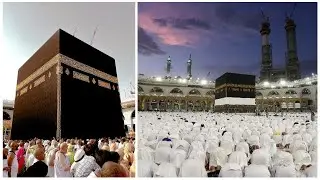 تكبيرات عيد الفطر المبارك 2024 بأجمل صوت ستسمعه في حياتك 🌷💛 لنجعلها تملأ الدنيا الله أكبر الله أكبر