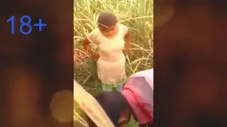 Jungle me mangal 2018