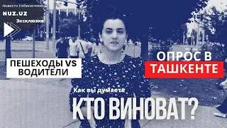 Опрос: как уменьшить количество смертей пешеходов под колесами машин
