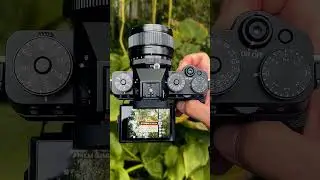 What it’s like to use the FujiFilm XT5