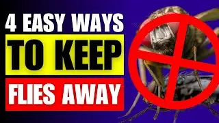 4 Easy & Natural Ways to Keep Your Home Flies-Free