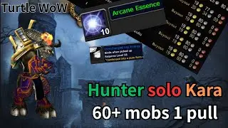 Turtle WoW - Hunter solo Kara 60+ mobs 1pull. (120-300g/15min)