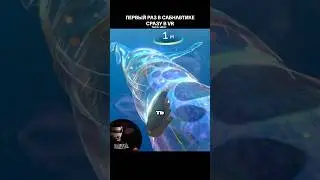 Не знал куда плыву 