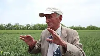 Интервью Гольдварг часть 3