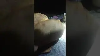 Как испечь хлеб в тайге