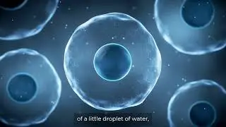 Unleashing the Power of Picodroplet Microfluidics - Interview with our CTO, Richard Hammond