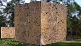 📸 Timber end - 03, TEXTURE for 3Ds Max, Unreal Engine, Unity (transparency)