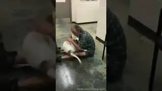 Homeless man reunites with pet dog at shelter home viral video