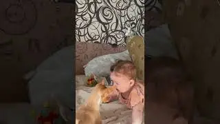 собака и ребенок#дети #собака #чудо #шок